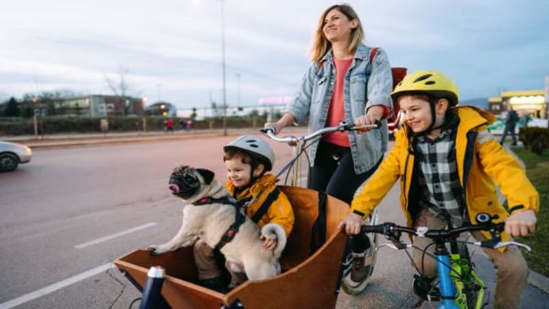 Advantages of Using a 3-Seat Trike for Family Adventures and Business Ventures