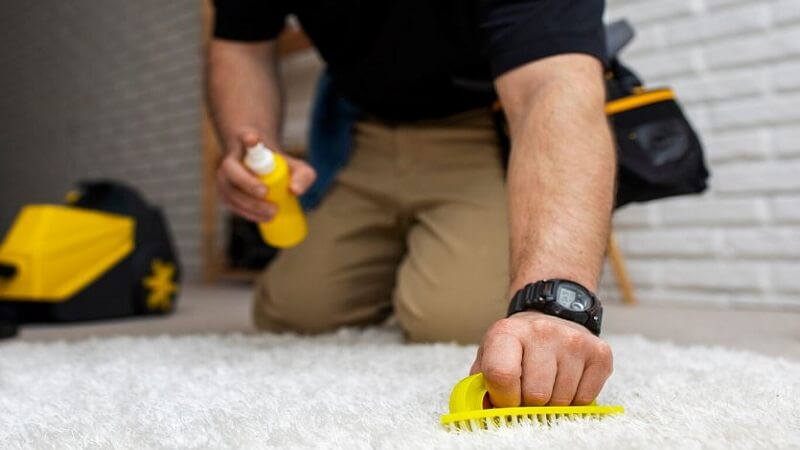 Easy Steps to Remove Stubborn Stains from Your Carpet