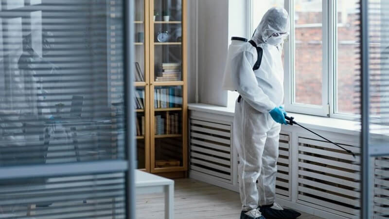 Steps to Clean a Biohazard Home Safely and Effectively